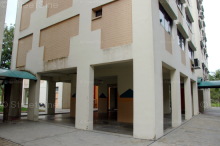 Blk 211 Petir Road (Bukit Panjang), HDB 5 Rooms #224312